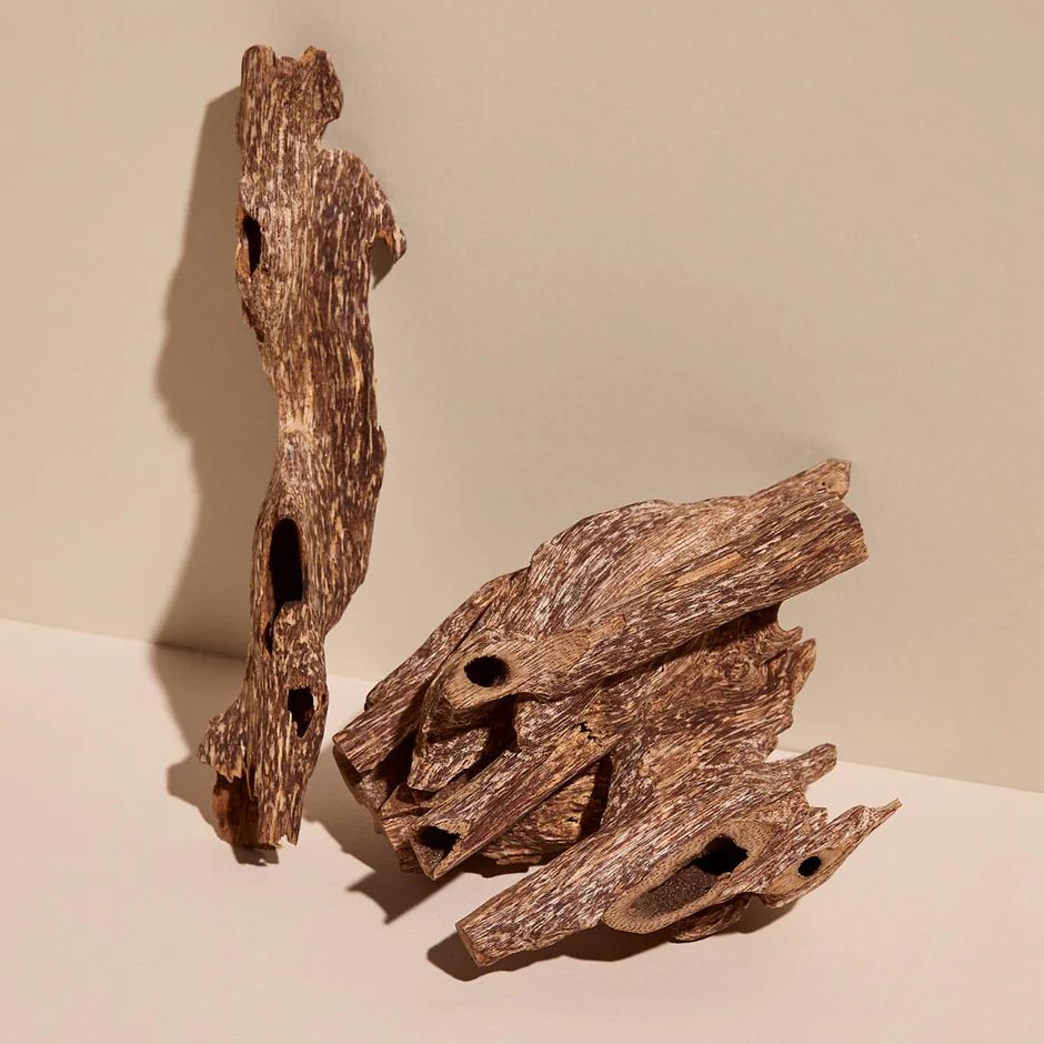 Natural Agarwood Oud Nuggets & Chips – Grade AA+ Resinous Aromatic Wood